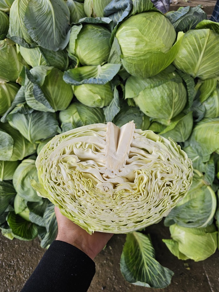 Sahadan kare