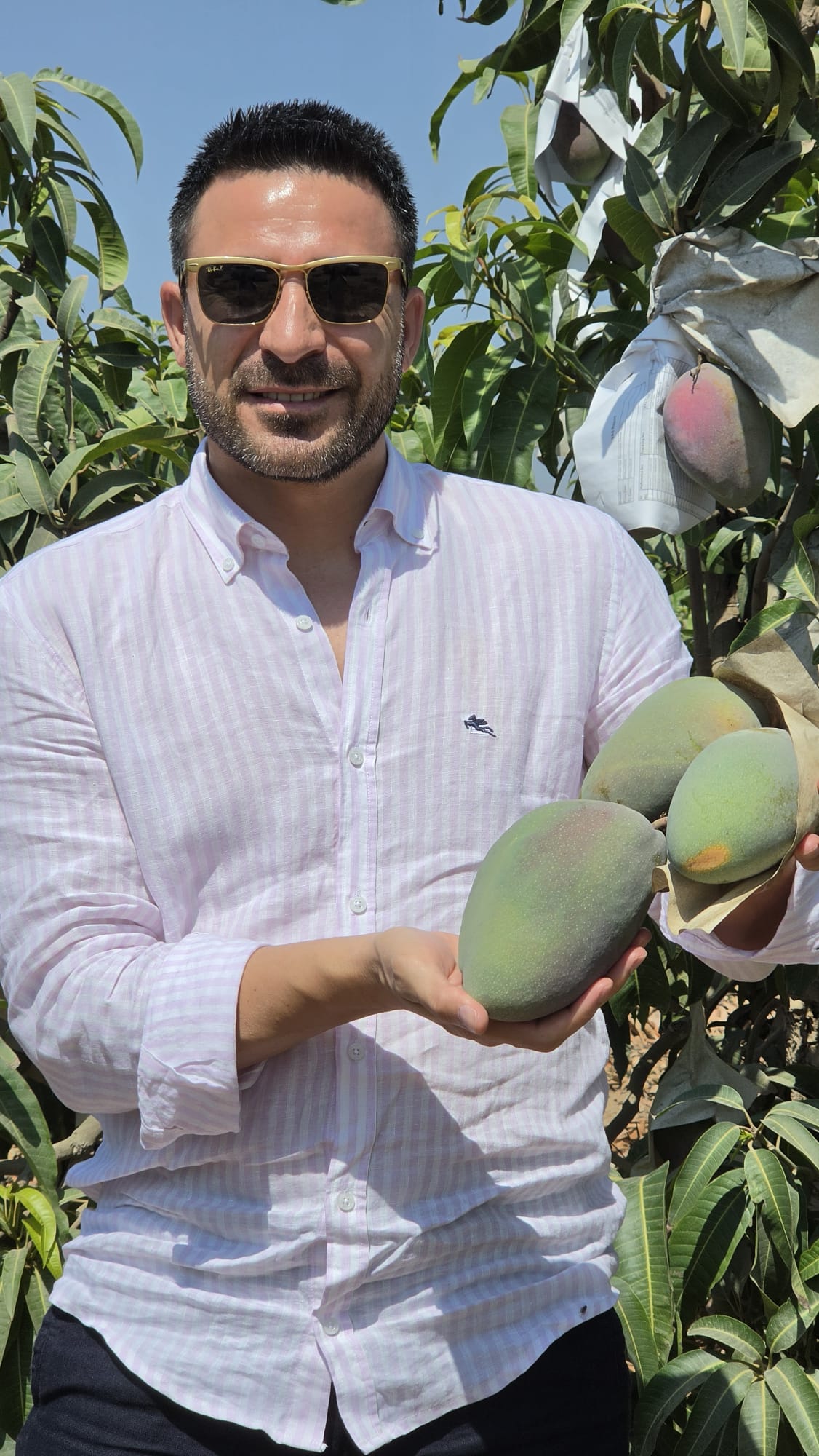 Mango